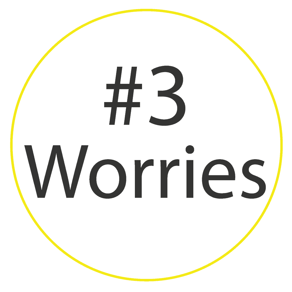 Worries are one of the three dimensions we use in our buyer persona example